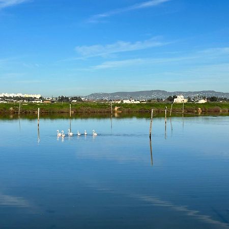 Herdade Dos Salgados Do Fialho ファロ エクステリア 写真