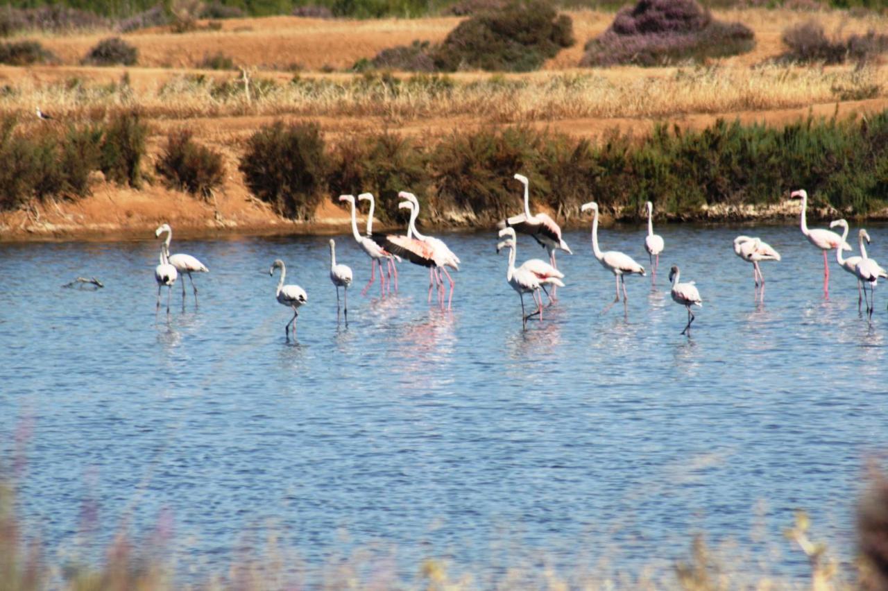 Herdade Dos Salgados Do Fialho ファロ エクステリア 写真