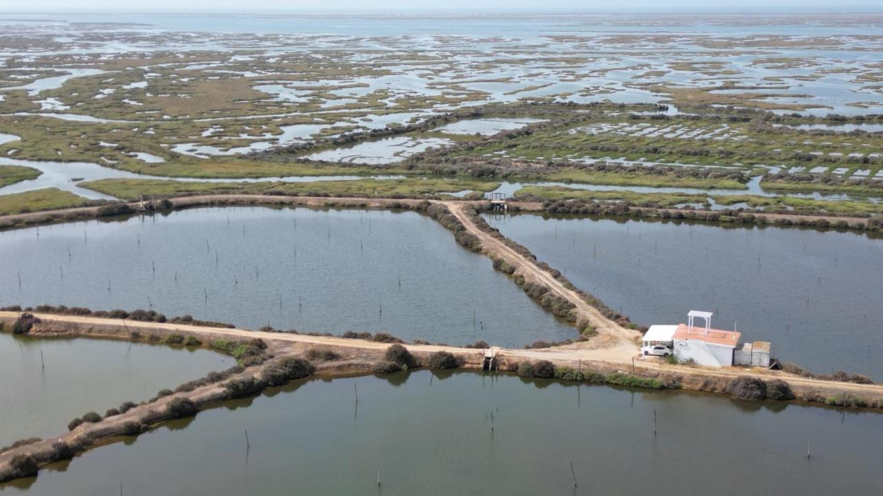 Herdade Dos Salgados Do Fialho ファロ エクステリア 写真