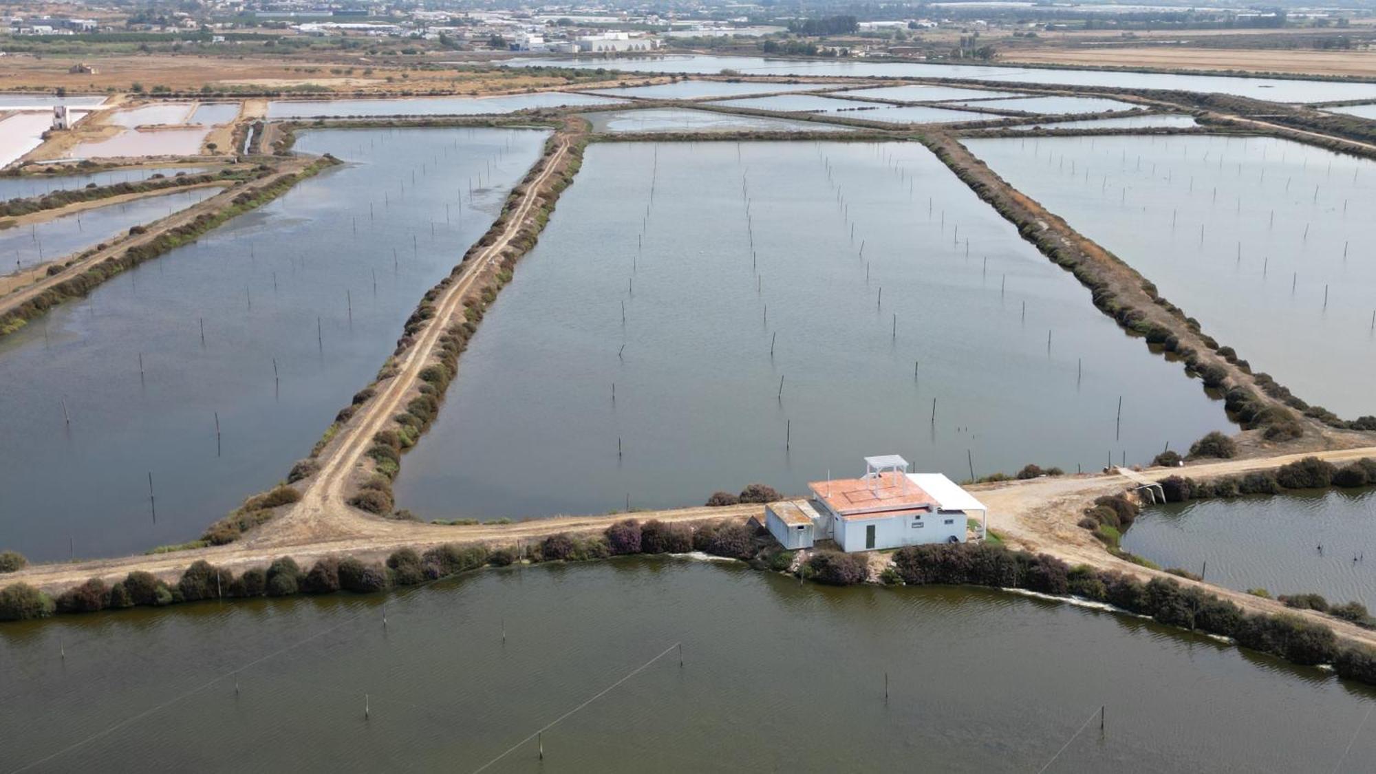 Herdade Dos Salgados Do Fialho ファロ エクステリア 写真