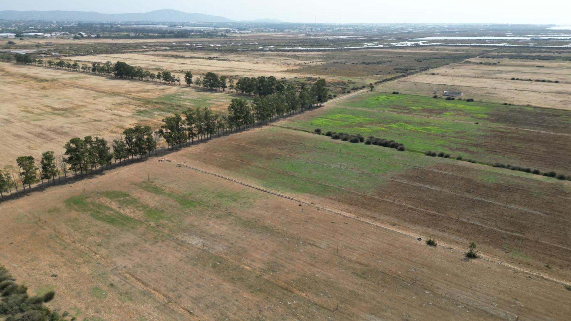 Herdade Dos Salgados Do Fialho ファロ エクステリア 写真