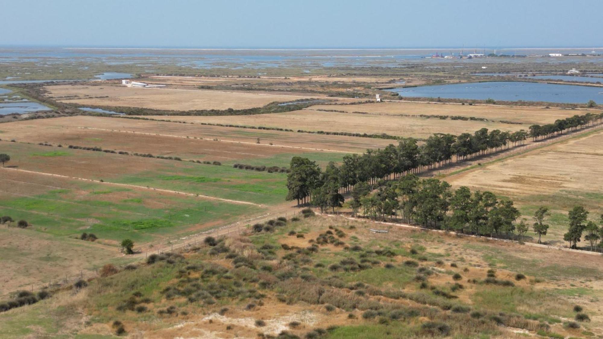 Herdade Dos Salgados Do Fialho ファロ エクステリア 写真