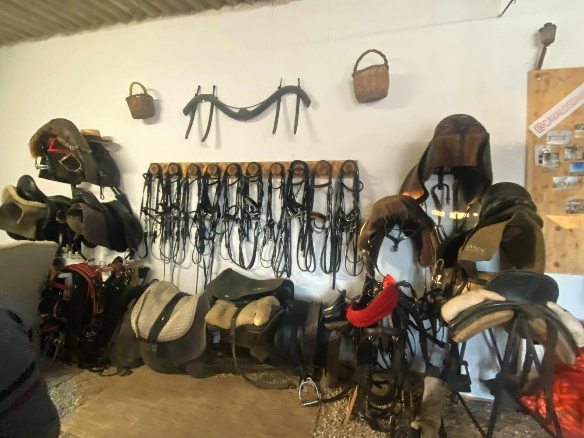 Herdade Dos Salgados Do Fialho ファロ エクステリア 写真