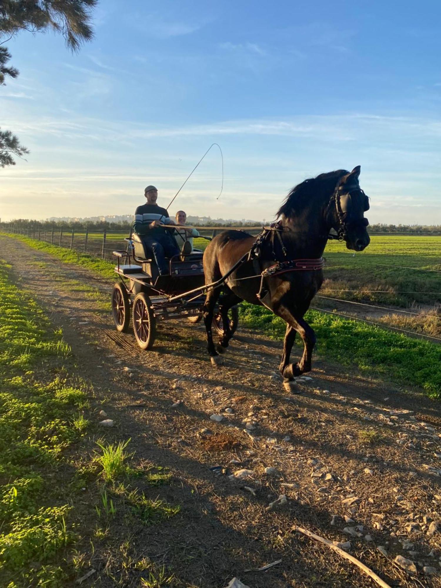 Herdade Dos Salgados Do Fialho ファロ エクステリア 写真
