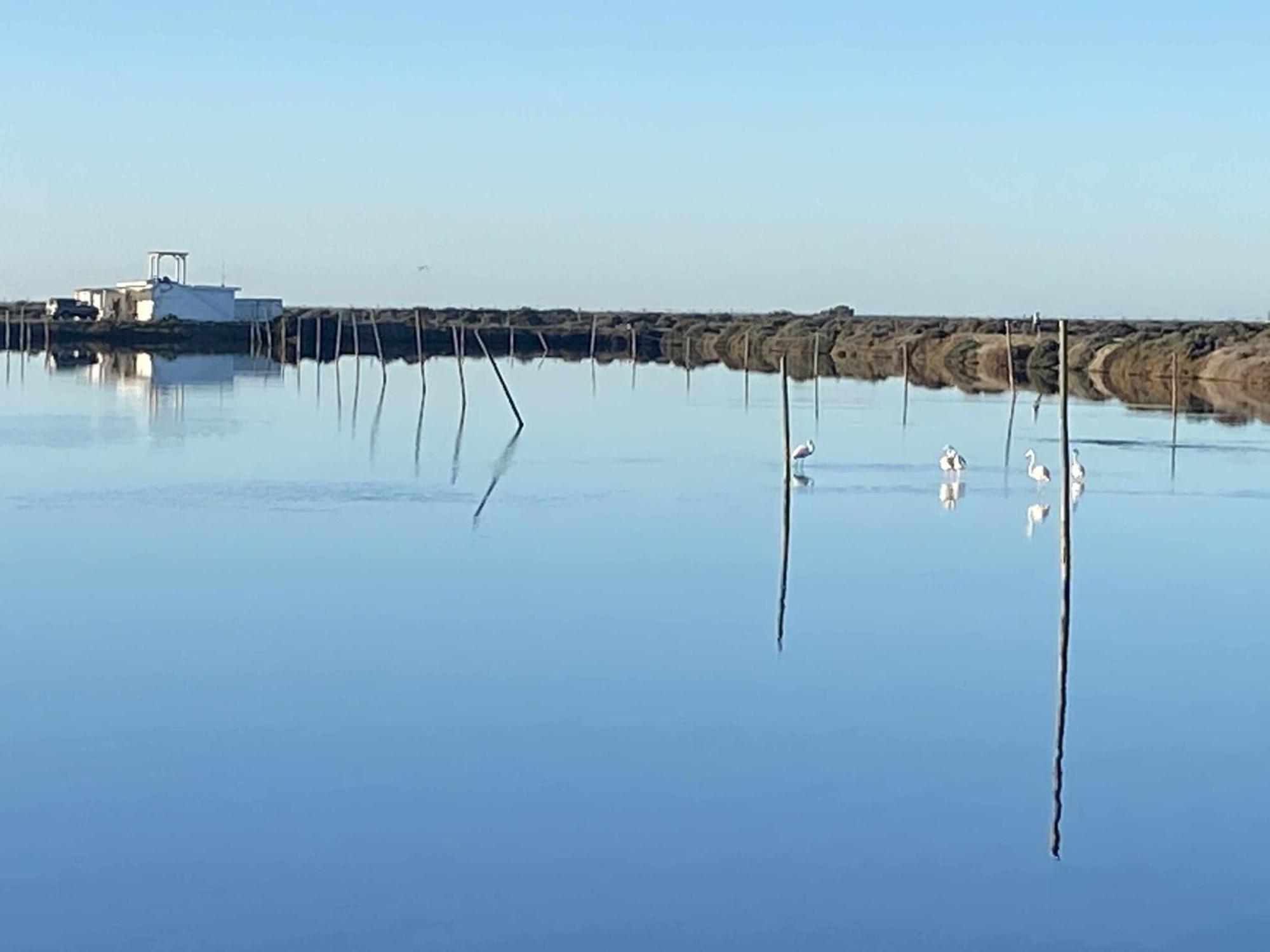 Herdade Dos Salgados Do Fialho ファロ エクステリア 写真