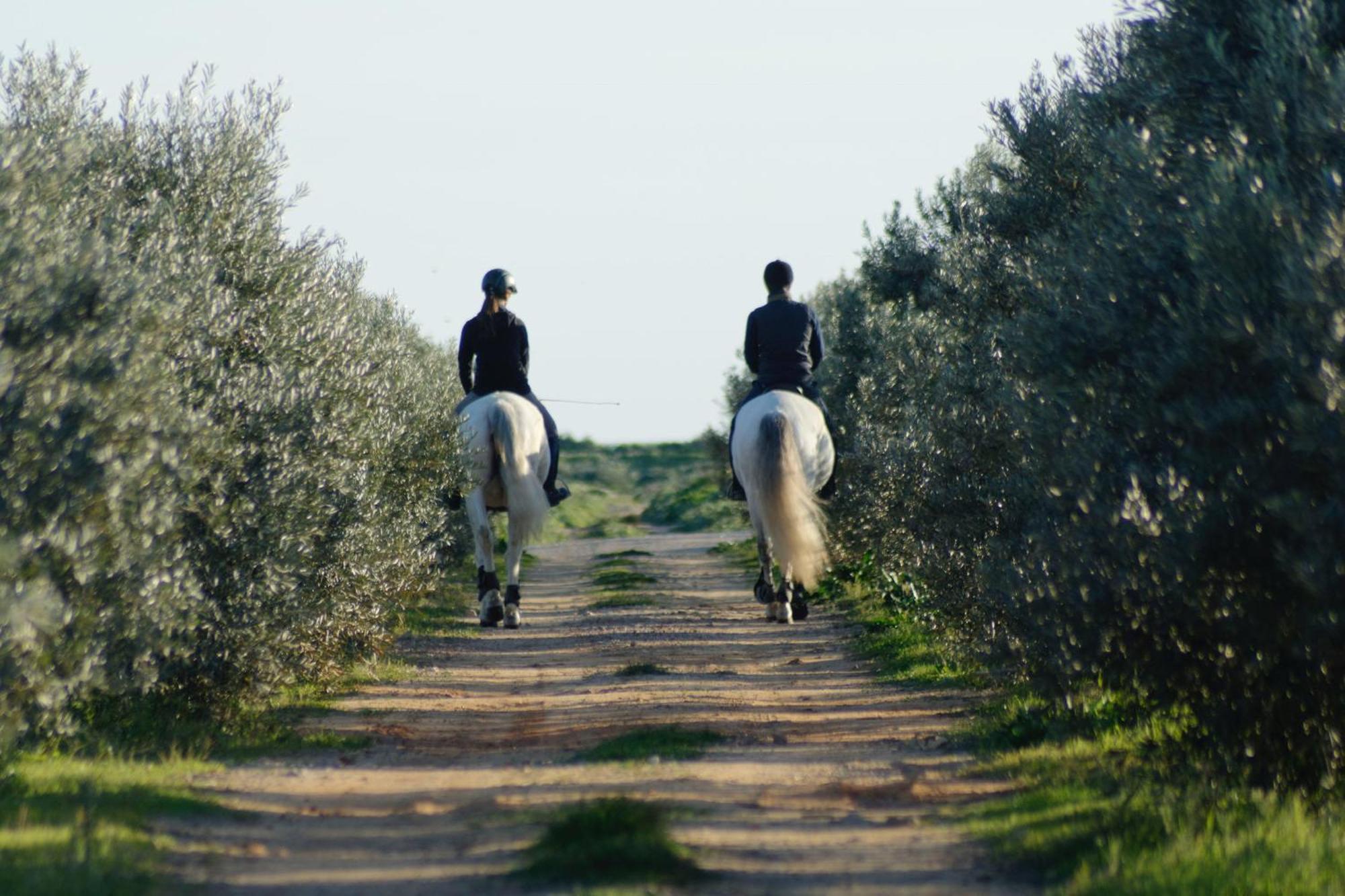 Herdade Dos Salgados Do Fialho ファロ エクステリア 写真
