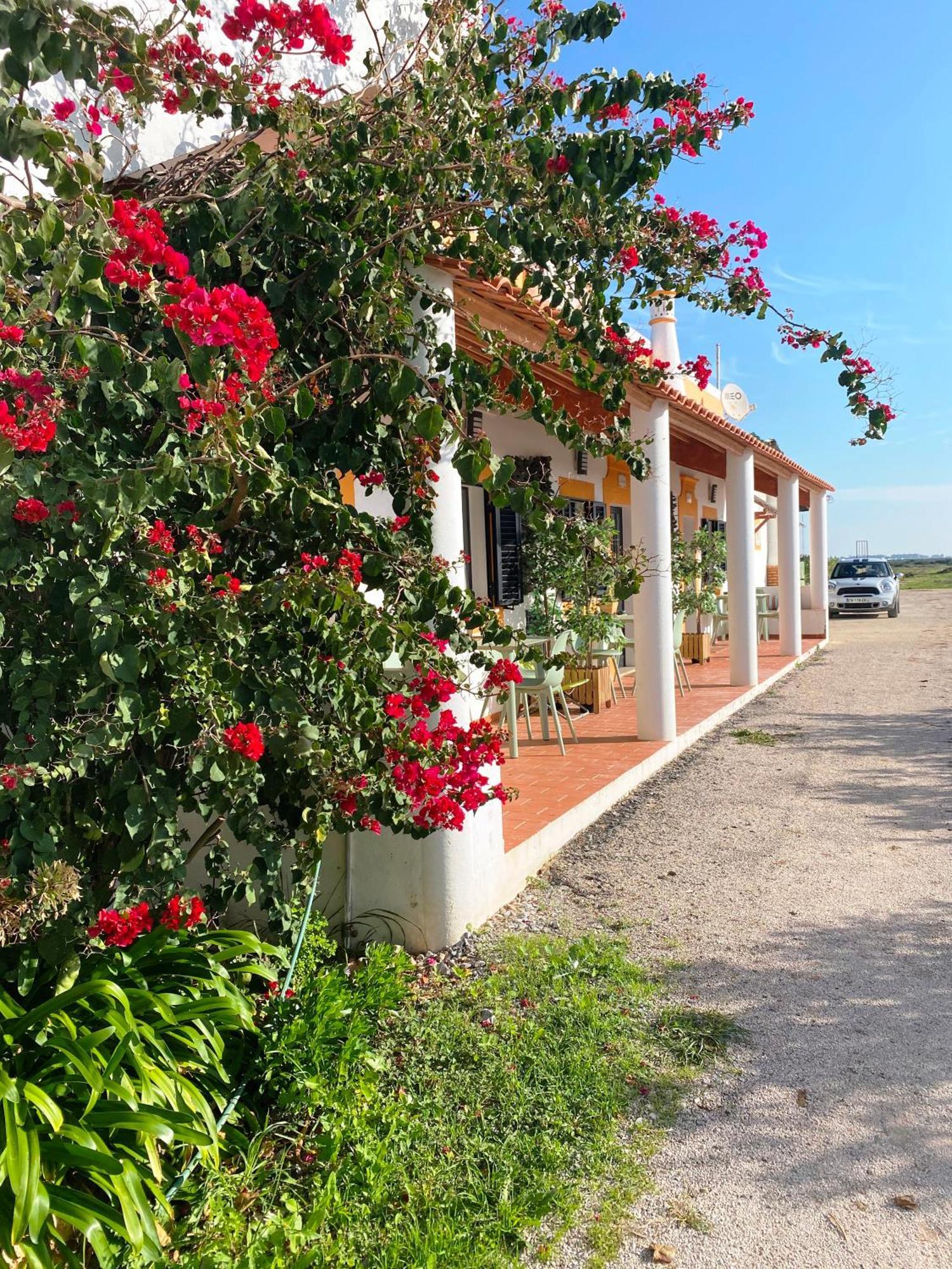 Herdade Dos Salgados Do Fialho ファロ エクステリア 写真